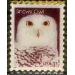 SNOWY OWL STAMP PIN